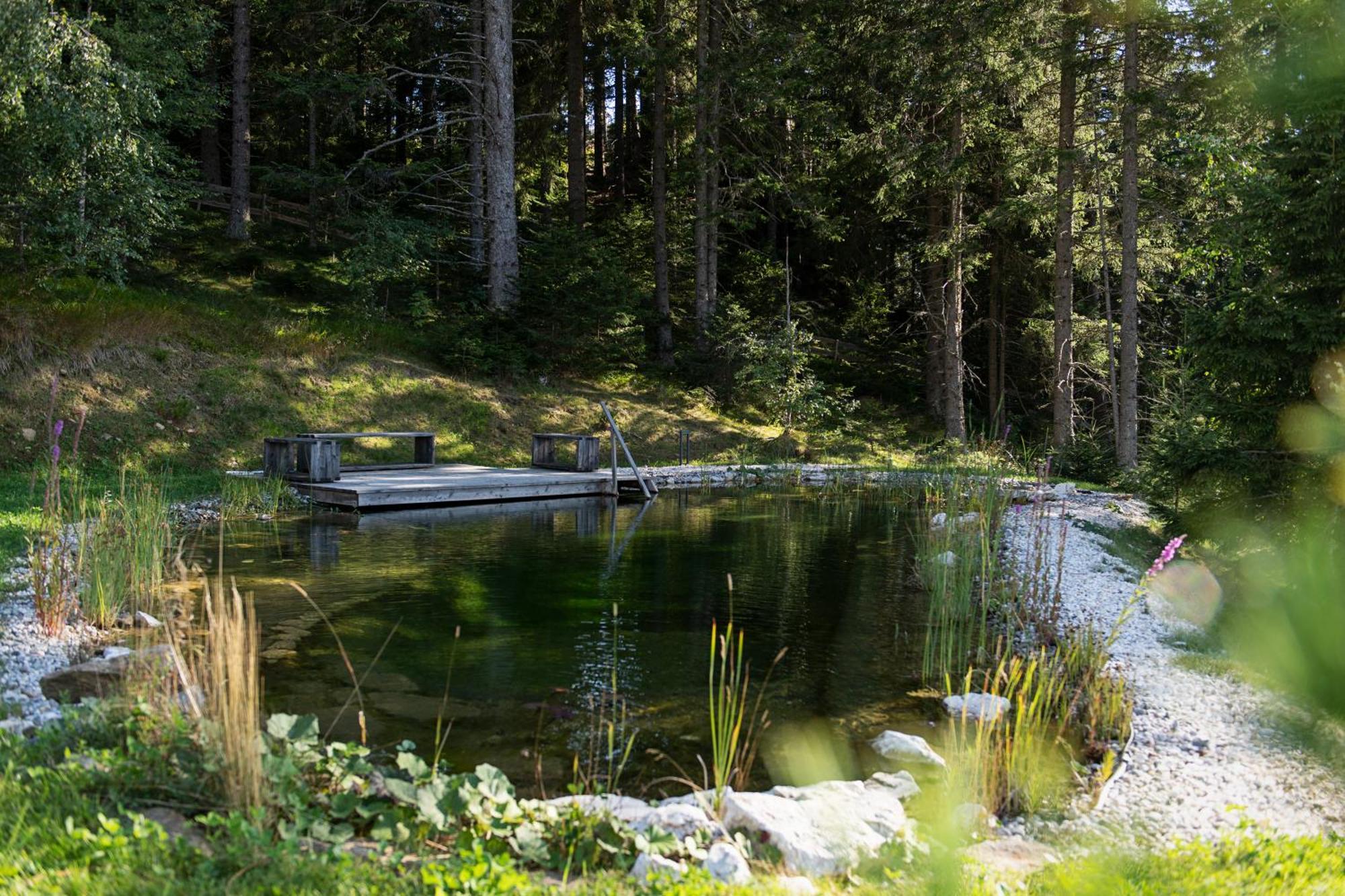Brandlalm Chalets Gundisch Экстерьер фото